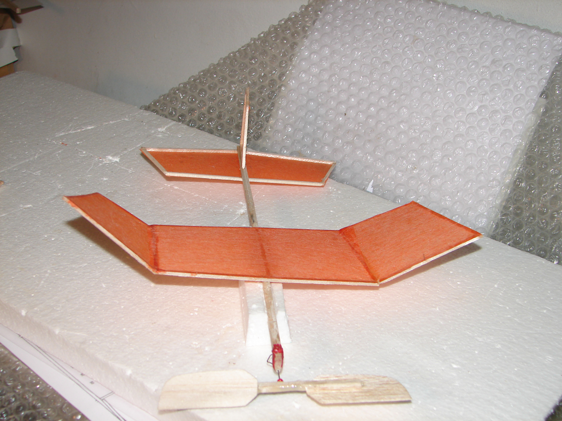 LILIFLY_1
