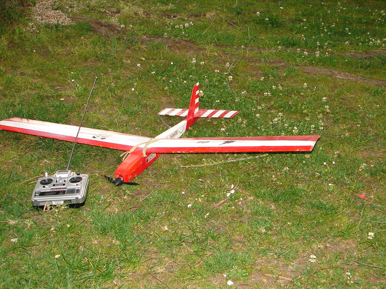 PANDA-1