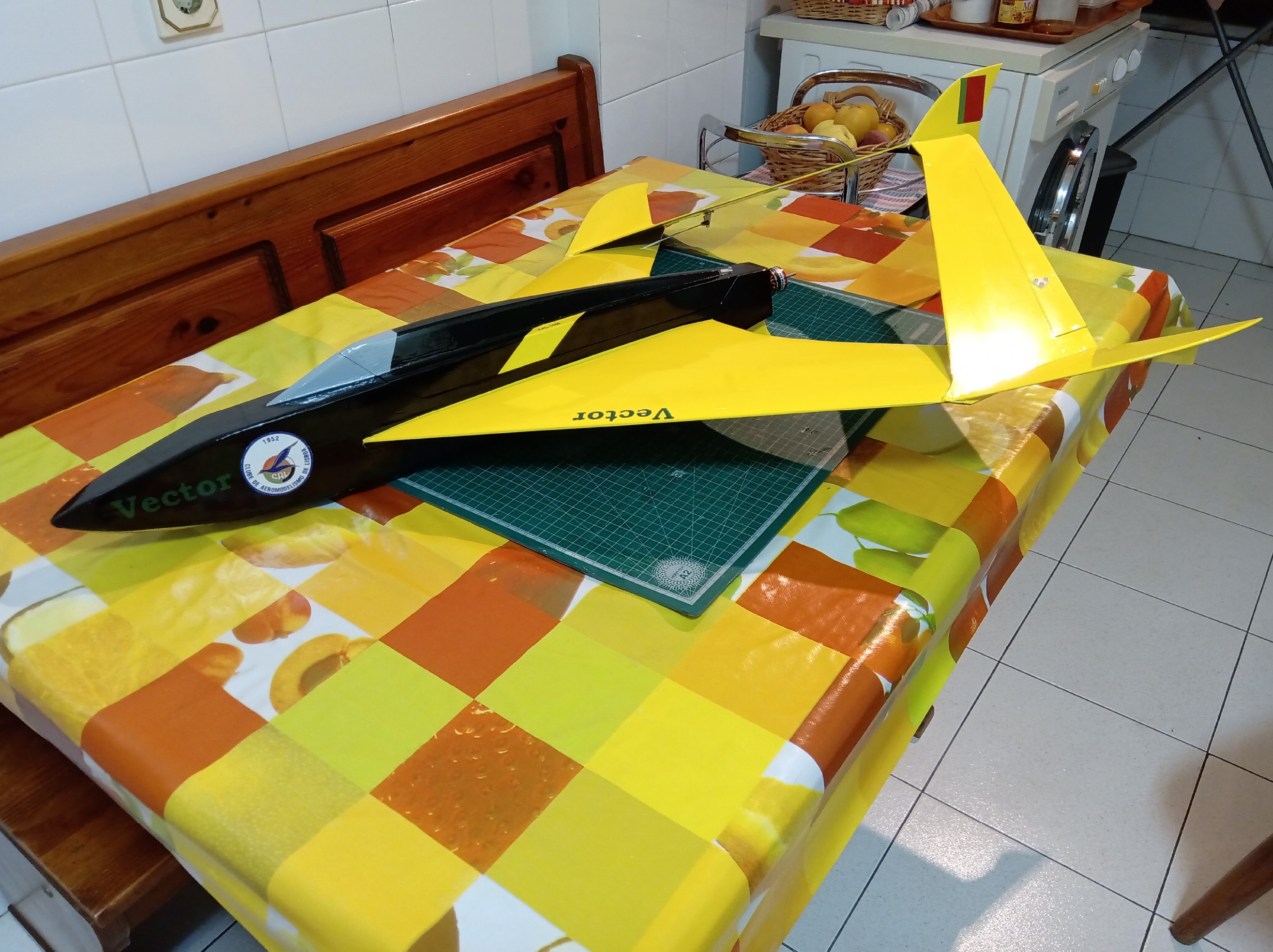 Vector_1
