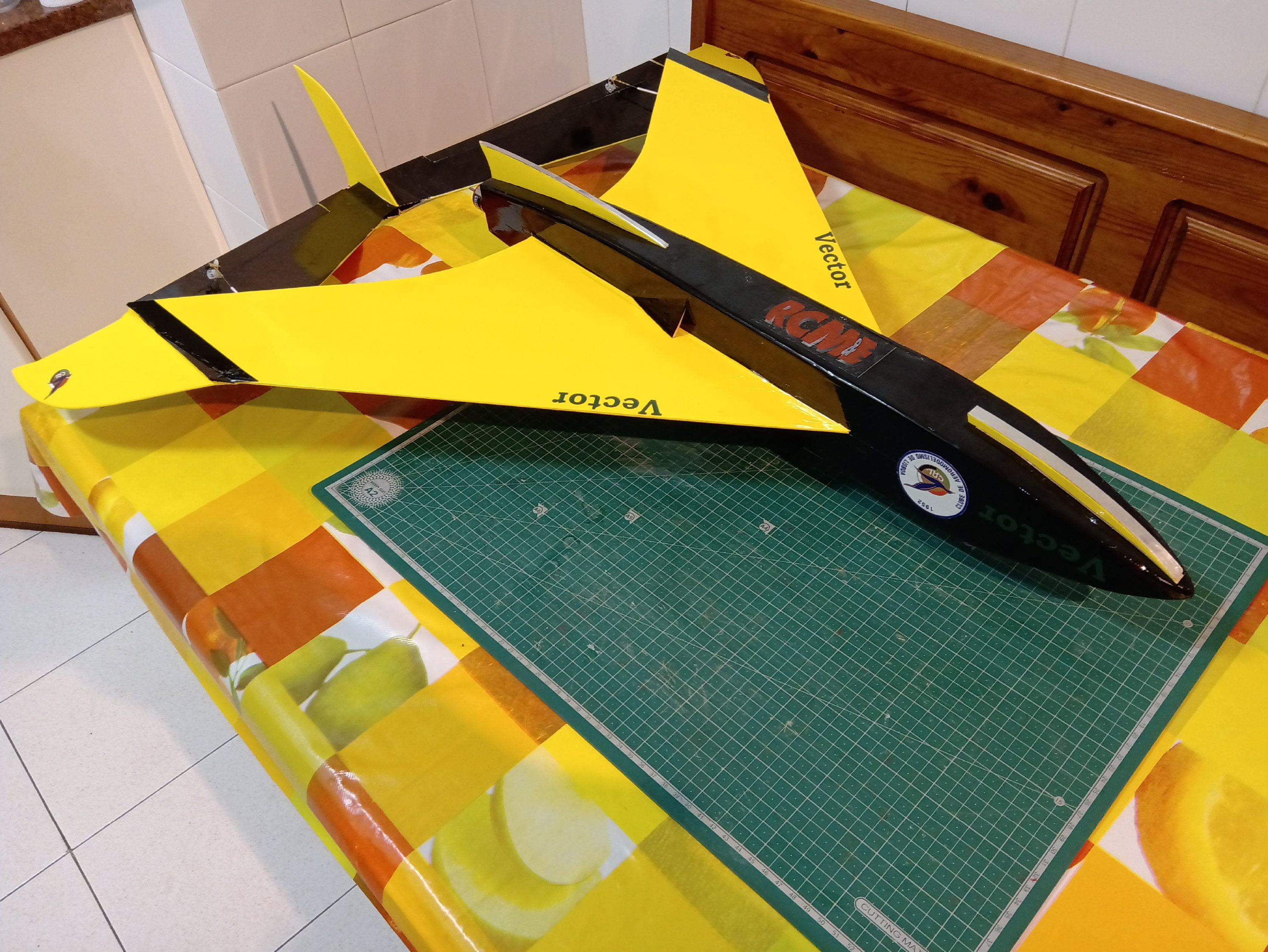 Vector_2